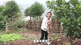秋妹尝试吃螺蛳粉，一股臭豆腐的味道，又臭又辣，秋妹吃得好过瘾