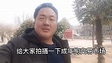 狗贩子已年过六旬，对付成年狗使出“吃奶”的力，无奈力不从心