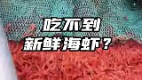 原来大部分人吃不到新鲜的海虾