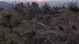 灵宝市五亩乡的黄土高原，家乡美景随拍