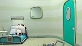 宝宝巴士：奇奇肚子变得好大，护士着急叫来了医生！