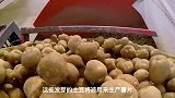 探访百事薯片超级工厂，用发芽土豆生产薯片，日产可达万袋