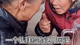 当你过年带狗回家当你过年回老家时  萌宠