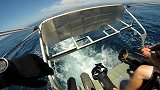 极限GoPro-16年-Gopro第1视角 寻找蓝鲸-《RacingExtinction》的序章-新闻