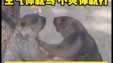 生气你就骂，打架就打架，你俩突然嘴对嘴是干啥