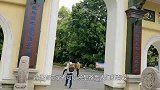 历史大师易中天被公开质疑“伪学者”口碑二极分化的他去哪了