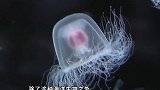 永生不可实现？科学家：宇宙规则不允许，想打破规则下场都很惨？
