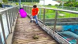 小伙子以为躲过一劫，不料这货还能飞起来，真是让人防不胜防啊！