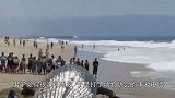 男子海边散步发现一个神秘生物，查看后让人反思！