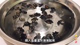 秋天，黑木耳和芹菜这种做法，降糖降压又减脂，健康味美，营养足