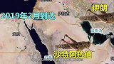 蝗虫所经之地寸草不剩，古人是如何对抗蝗灾的，看完你就知道了