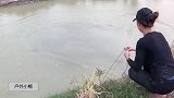 表姐开塘捕鱼，只需要一副手撒网，就能拿鱼去市场卖了