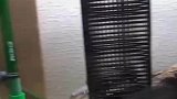 乌龟追着小鱼跑，小鱼绕圈疯狂逃窜