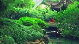 这一瞬间给自己一个微笑闭目，聆听与享受秋日美好时刻。