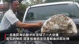 渔民捡到鲸鱼呕吐物 仔细一看价值两千万