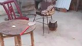 男子本想开火取暖，却发现小猫在已经在取暖了