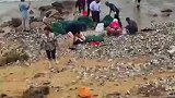 台风过后，大量海鲜被冲到青岛海滩，许多市民提桶来捡！