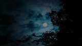 锦心似玉：三个姨娘心怀鬼胎，十一娘欲在其位，必承其重