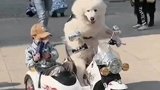 原来这个才是真摩的，这师傅肯定不绕路