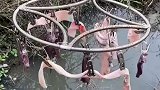 我愿称之为钓虾达人，错看成衣服的应该不只我一个吧