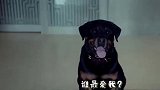 谁最爱我？《宠爱》电影