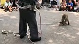 猴子要修理了。