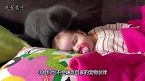 萌娃挨妈妈批评正伤心大哭，猫咪立马上前安慰_网友：我也想要