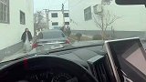 两小伙看见伴娘过来，跳舞引注意
