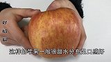 苹果甜不甜，记住这四点，水果店老板教我的这招，真的太好用了