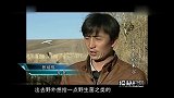 男子捡回两只野猫，结果越养越不对劲，谁家猫长这么大