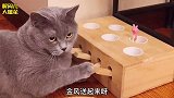 搞笑视频如果没有这几位好兄弟，我肯定早都出院了！