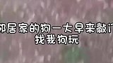 网友：伸手不打笑脸狗