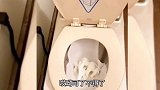 美女亲自上阵展示马桶