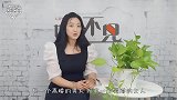头婚妻子和二婚老婆有什么区别？3个过来人不小心说了真心话！