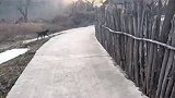 夕阳西下，走在归家小路上！