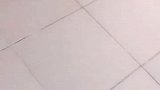狗子：还是厕所里睡着凉快一点！