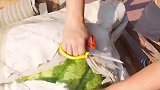 4万元，我的天，那么大