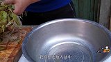 李小厨自家树上摘的香椿芽，打几个土鸡蛋，地锅炒香椿，比肉都香