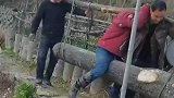 这四个人哪个人最吃力