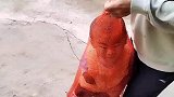当叔叔来带娃，这确实亲叔叔能做出来的事情