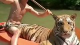 真人版奇幻漂流，一只柔顺的大猫咪，原来是只大老虎