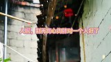 情感语录，人啊，别再掏心掏肺对一个人好了