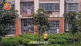 脑子真是个好东西，可惜你没有