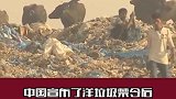 从哪来回哪去！中国带头拒收洋垃圾后，西方叫苦连连。