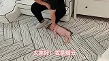 小猪好可爱，一起去撸猪