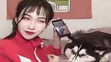 二哈我不要面子的吗