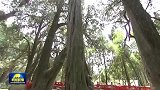 【新思想引领新征程】让文化和自然遗产在新时代绽放新光彩