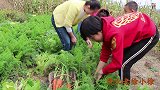 为啥口水直流，农村小徐用发酵老面包的腌猪肉萝卜馅包子，太香了