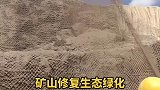 石头边坡如何植被绿化