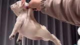 就这气势没谁了